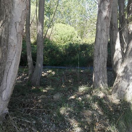 Casa Rural Los Lilos Gotor Bagian luar foto