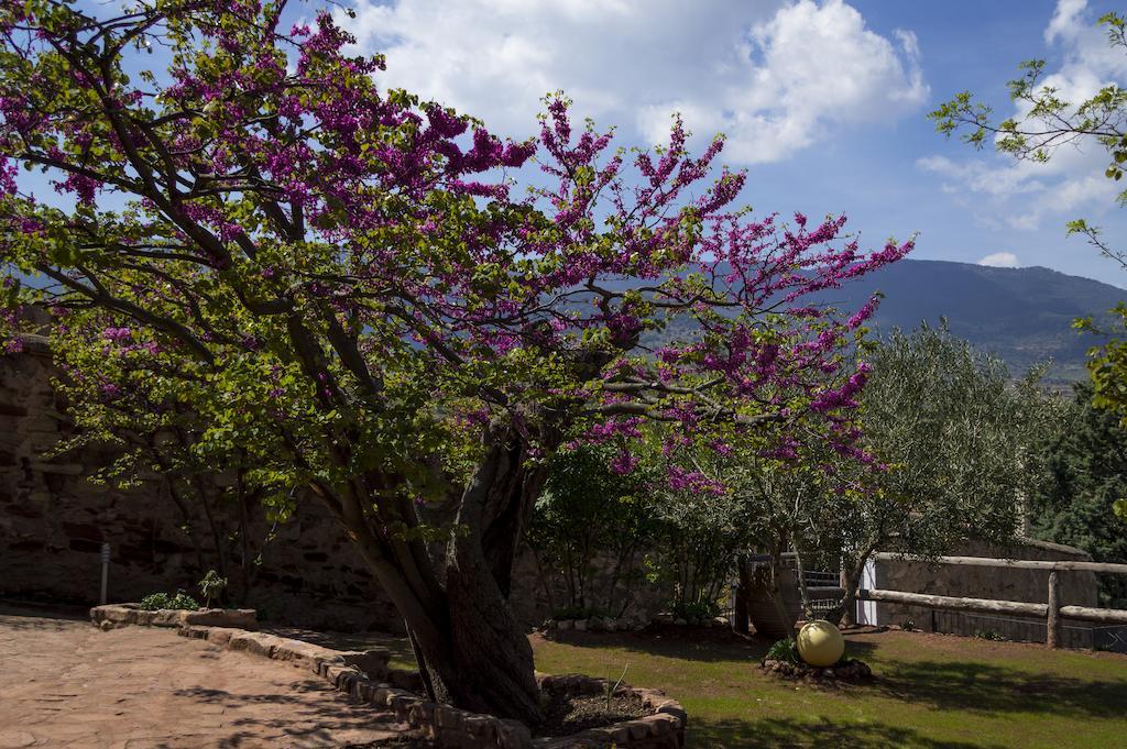 Casa Rural Los Lilos Gotor Ruang foto