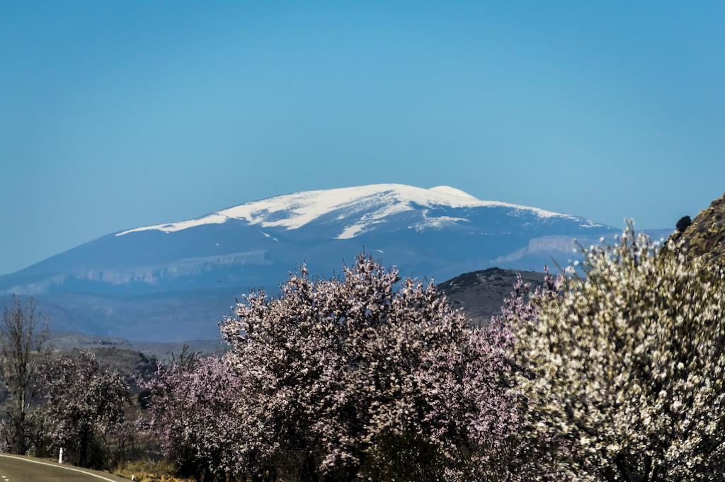 Casa Rural Los Lilos Gotor Ruang foto