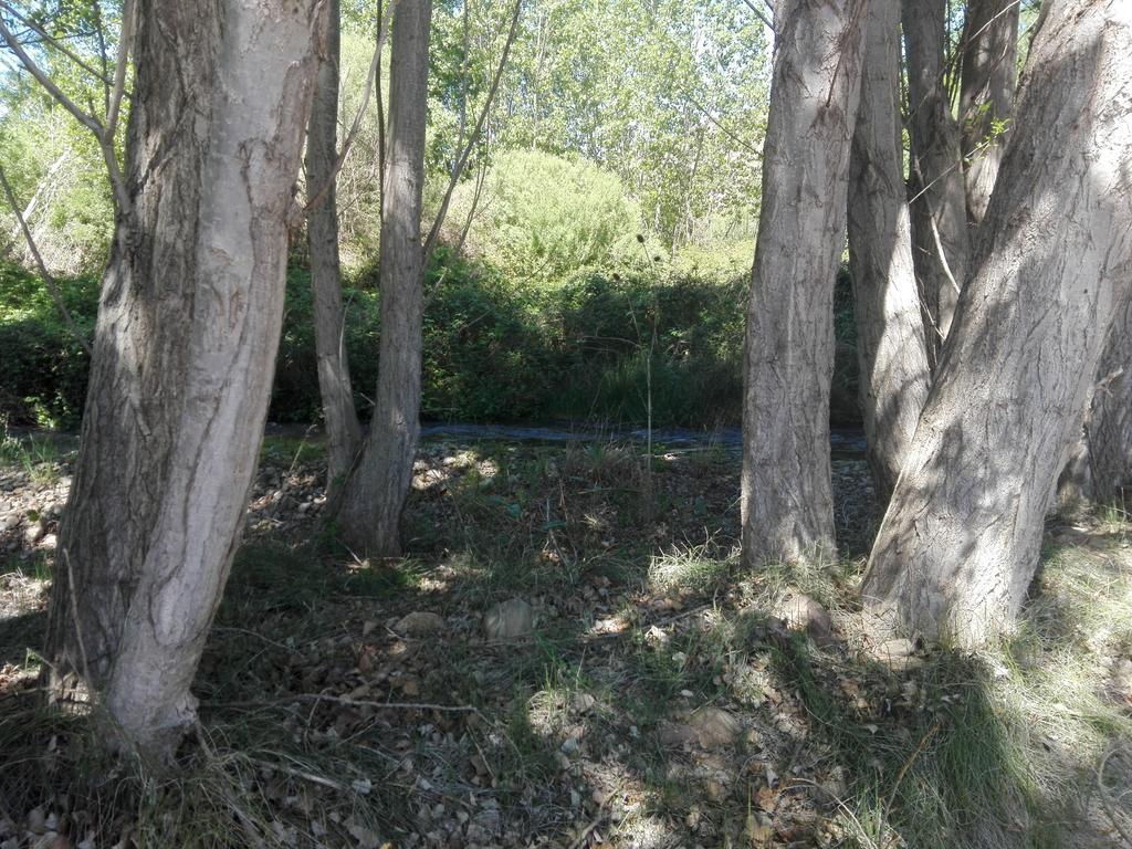Casa Rural Los Lilos Gotor Bagian luar foto